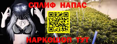 амф Пугачёв