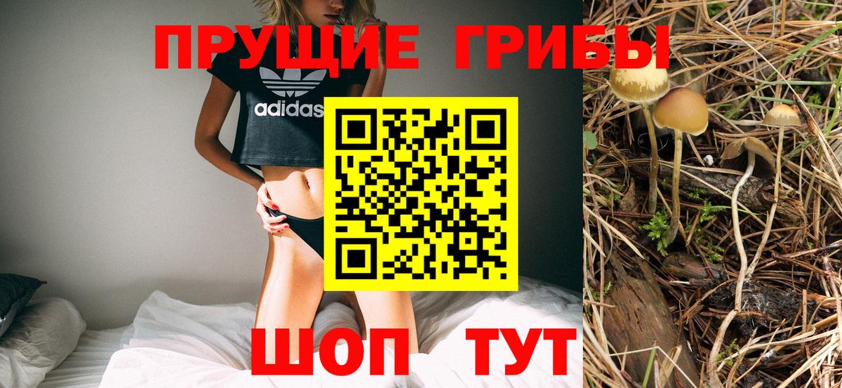 Галлюциногенные грибы мухоморы Орехово-Зуево